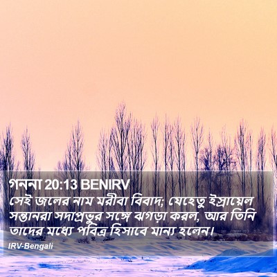 গননা 20:13 BENIRV Bible Verse Image
