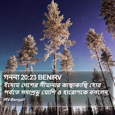 গননা 20:23 BENIRV Bible Verse Image