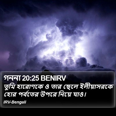 গননা 20:25 BENIRV Bible Verse Image