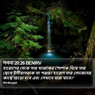 গননা 20:26 BENIRV Bible Verse Image