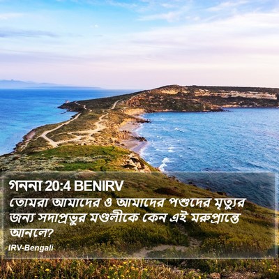 গননা 20:4 BENIRV Bible Verse Image