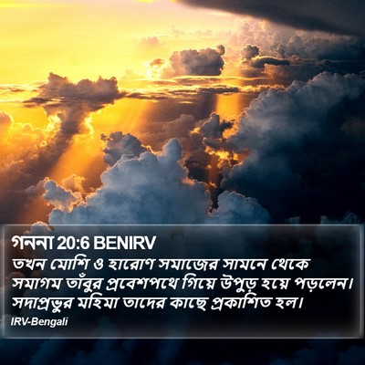 গননা 20:6 BENIRV Bible Verse Image