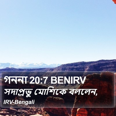 গননা 20:7 BENIRV Bible Verse Image