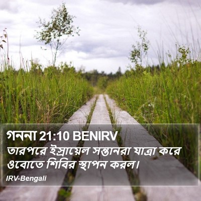 গননা 21:10 BENIRV Bible Verse Image