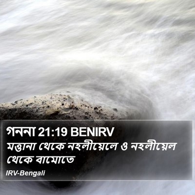 গননা 21:19 BENIRV Bible Verse Image