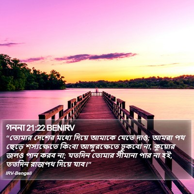 গননা 21:22 BENIRV Bible Verse Image