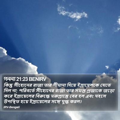 গননা 21:23 BENIRV Bible Verse Image