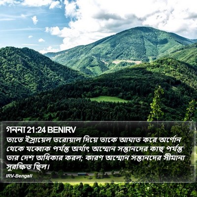 গননা 21:24 BENIRV Bible Verse Image