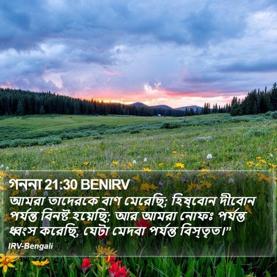 গননা 21:30 BENIRV Bible Verse Image