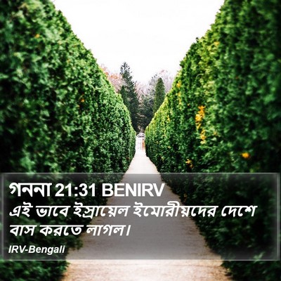 গননা 21:31 BENIRV Bible Verse Image