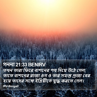 গননা 21:33 BENIRV Bible Verse Image