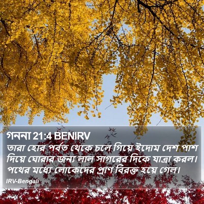 গননা 21:4 BENIRV Bible Verse Image