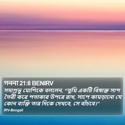 গননা 21:8 BENIRV Bible Verse Image