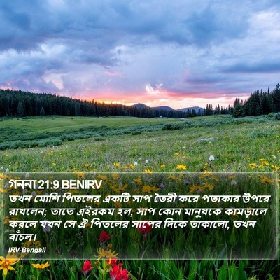 গননা 21:9 BENIRV Bible Verse Image