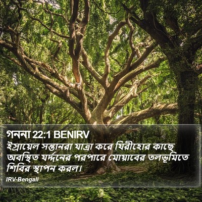 গননা 22:1 BENIRV Bible Verse Image