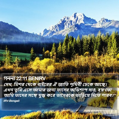 গননা 22:11 BENIRV Bible Verse Image