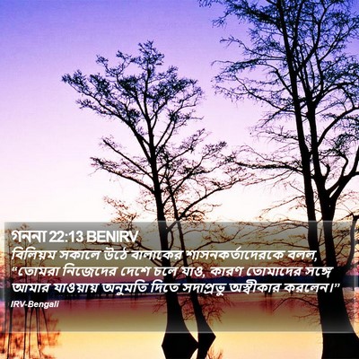 গননা 22:13 BENIRV Bible Verse Image