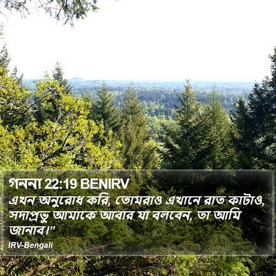 গননা 22:19 BENIRV Bible Verse Image