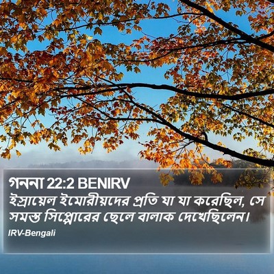 গননা 22:2 BENIRV Bible Verse Image