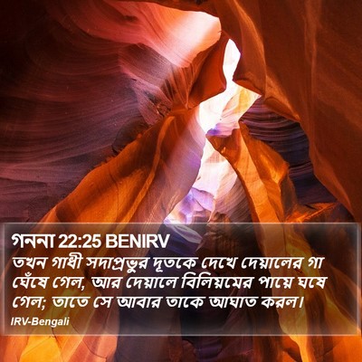 গননা 22:25 BENIRV Bible Verse Image