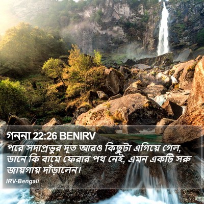 গননা 22:26 BENIRV Bible Verse Image