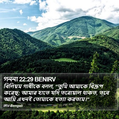 গননা 22:29 BENIRV Bible Verse Image