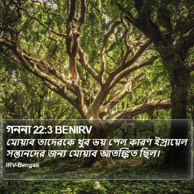 গননা 22:3 BENIRV Bible Verse Image