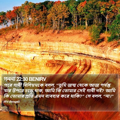 গননা 22:30 BENIRV Bible Verse Image