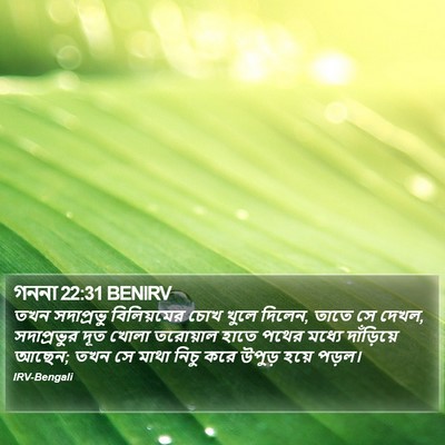 গননা 22:31 BENIRV Bible Verse Image