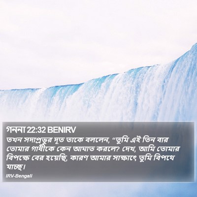 গননা 22:32 BENIRV Bible Verse Image