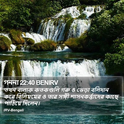 গননা 22:40 BENIRV Bible Verse Image