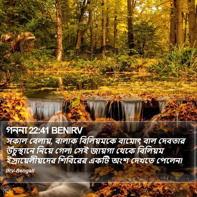 গননা 22:41 BENIRV Bible Verse Image