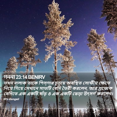 গননা 23:14 BENIRV Bible Verse Image