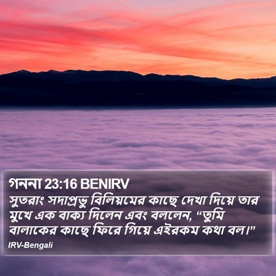 গননা 23:16 BENIRV Bible Verse Image