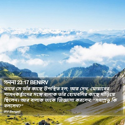 গননা 23:17 BENIRV Bible Verse Image