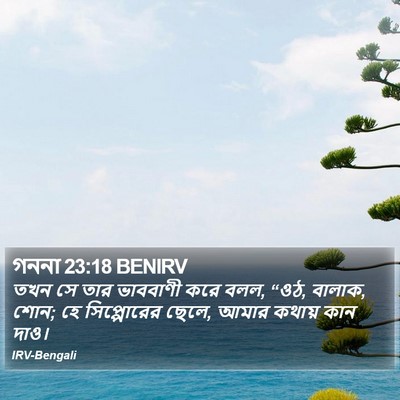 গননা 23:18 BENIRV Bible Verse Image