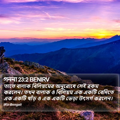 গননা 23:2 BENIRV Bible Verse Image
