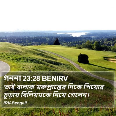 গননা 23:28 BENIRV Bible Verse Image