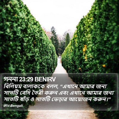 গননা 23:29 BENIRV Bible Verse Image