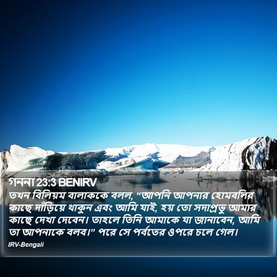 গননা 23:3 BENIRV Bible Verse Image