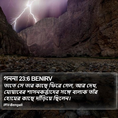 গননা 23:6 BENIRV Bible Verse Image