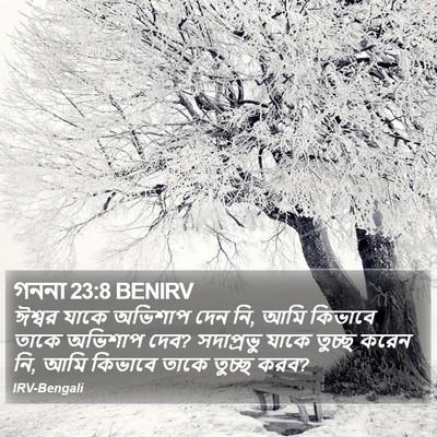গননা 23:8 BENIRV Bible Verse Image