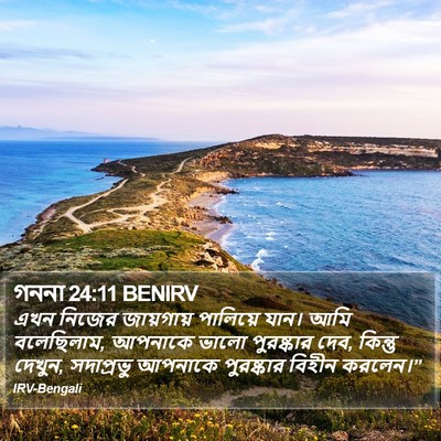 গননা 24:11 BENIRV Bible Verse Image
