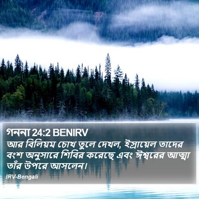 গননা 24:2 BENIRV Bible Verse Image