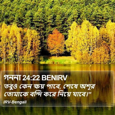 গননা 24:22 BENIRV Bible Verse Image