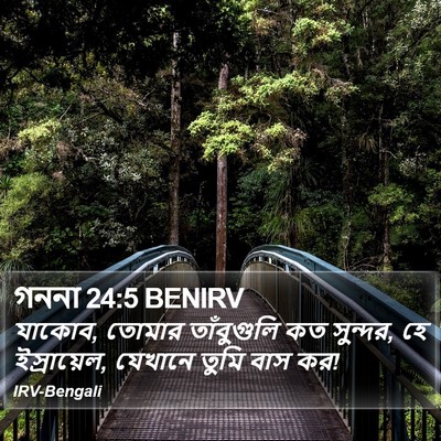 গননা 24:5 BENIRV Bible Verse Image