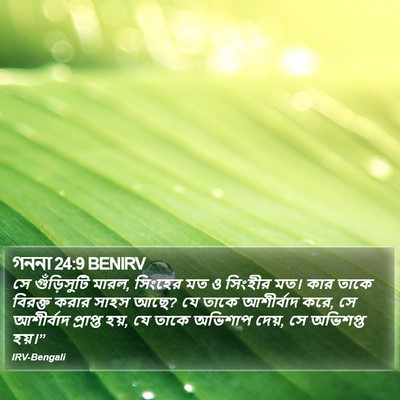 গননা 24:9 BENIRV Bible Verse Image