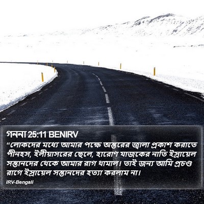 গননা 25:11 BENIRV Bible Verse Image