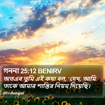 গননা 25:12 BENIRV Bible Verse Image