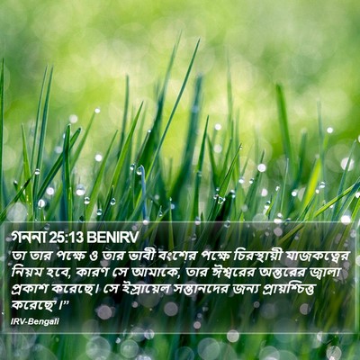 গননা 25:13 BENIRV Bible Verse Image